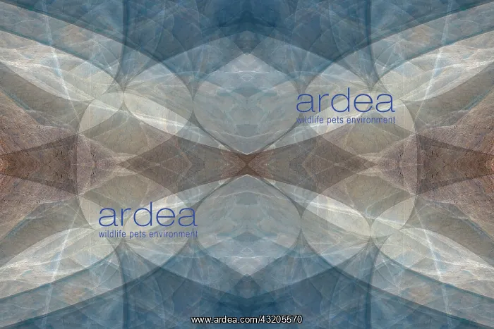 : Blue and brown abstract : Blue and brown abstract