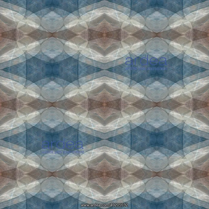  : Blue and brown abstract