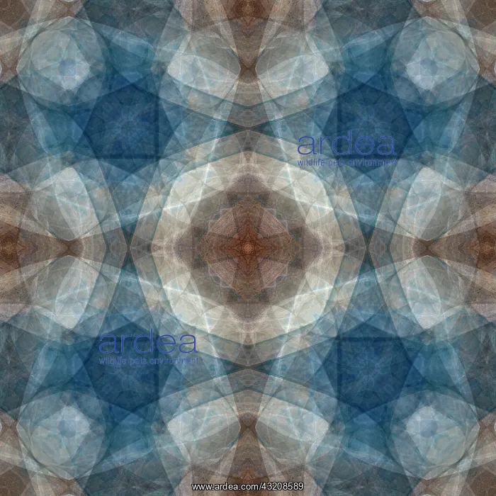 : Blue and brown abstract : Blue and brown abstract
