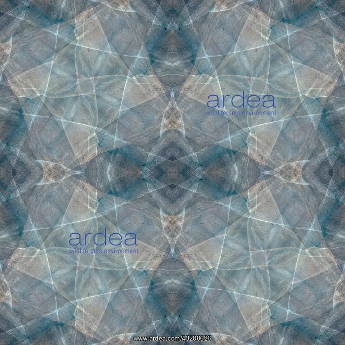  : Blue and brown abstract
