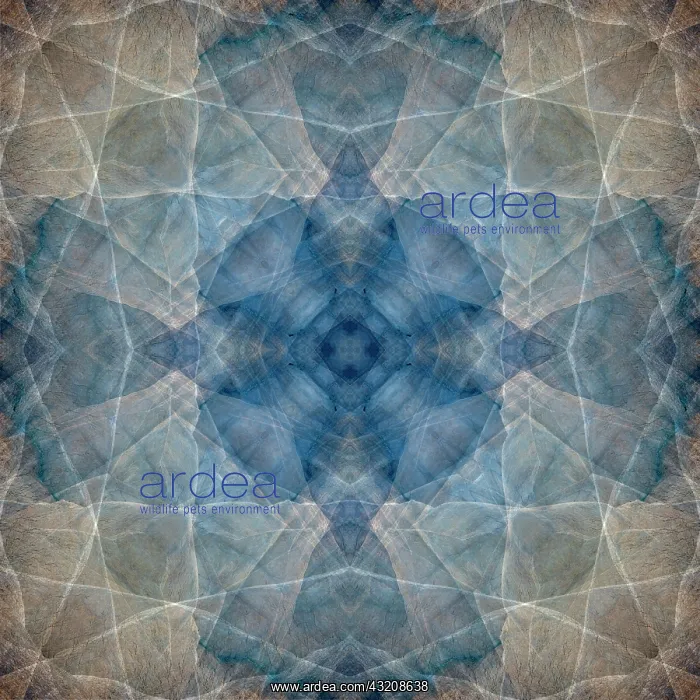 : Blue and brown abstract : Blue and brown abstract