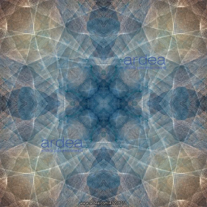  : Blue and brown abstract
