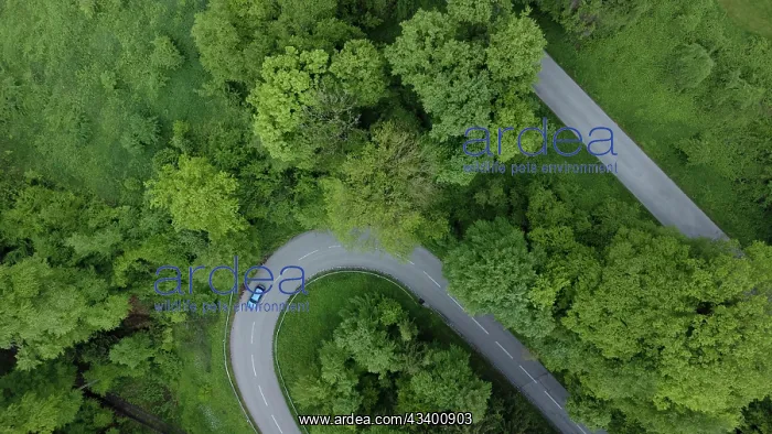 : Blue car driving on serpentine road through green : Blue car driving on serpentine road through green