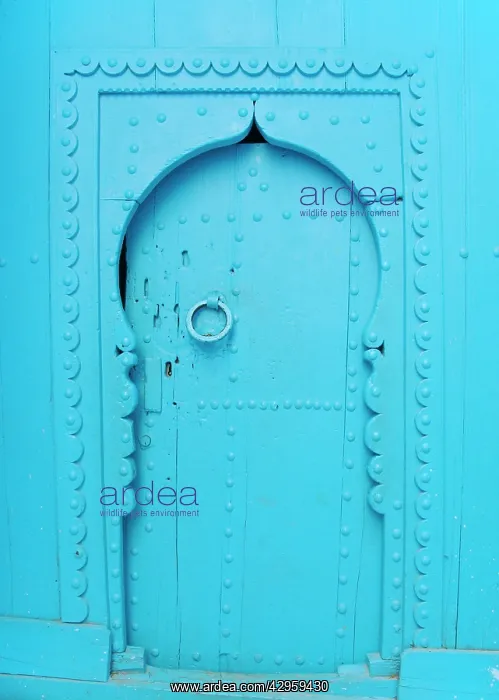 : Blue door and surround : Blue door and surround