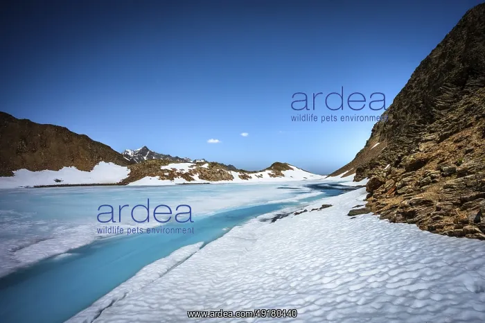  : Blue glacial lake surrounded by snow and ice