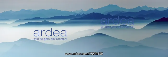 : Blue graded mountain ranges in backlight, from Monte : Blue graded mountain ranges in backlight, from Monte