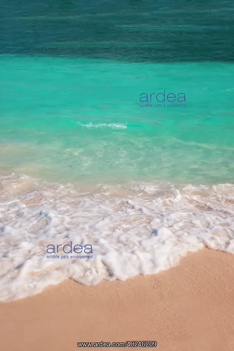 : Blue and green water off Orient Beach in : Blue and green water off Orient Beach in