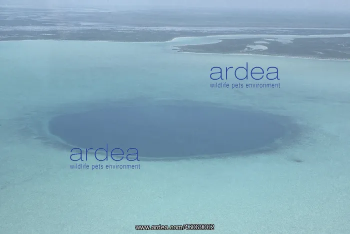 : Blue Hole. Aerial view of the largest blue hole in the world, in the Turks : Blue Hole. Aerial view of the largest blue hole in the world, in the Turks