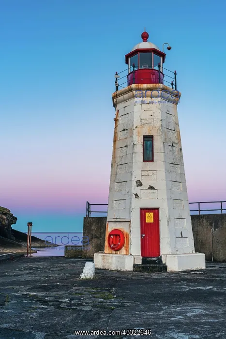 : Blue Hour over Lybster Lighthouse and Harbour, East : Blue Hour over Lybster Lighthouse and Harbour, East