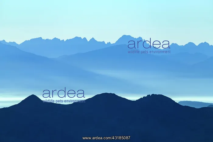 : Blue hour over South Tyrolean mountains with haze : Blue hour over South Tyrolean mountains with haze