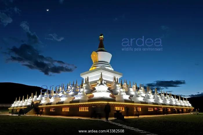 : Blue Hour over Tibetan Chorten, Stupa Complex in : Blue Hour over Tibetan Chorten, Stupa Complex in