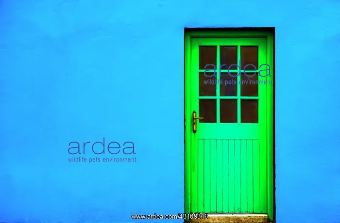 : Blue house facade with green front door, Burren : Blue house facade with green front door, Burren