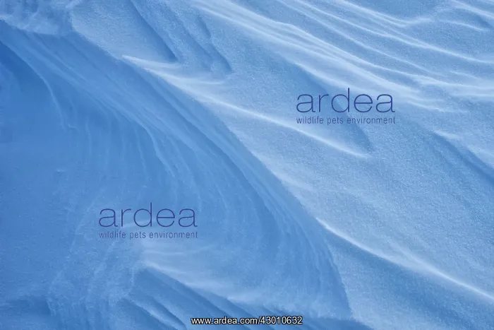 : Blue Ice Designs created by strong winds form in : Blue Ice Designs created by strong winds form in