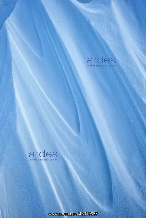 : Blue Ice Designs created by strong winds form in : Blue Ice Designs created by strong winds form in