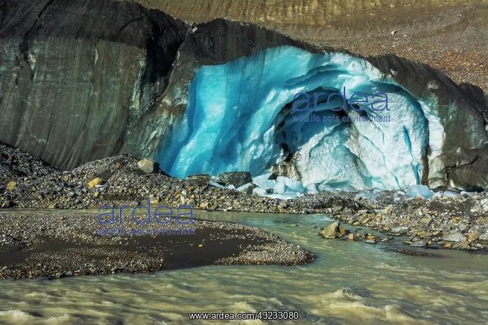: Blue ice and meltwater at the toe of the Athabasca : Blue ice and meltwater at the toe of the Athabasca