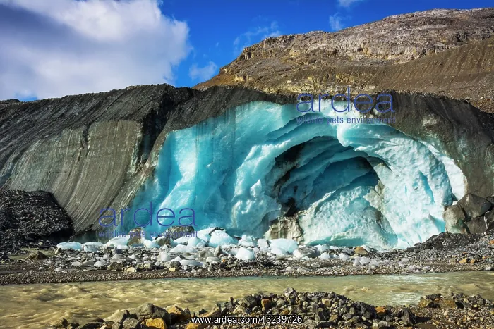 : Blue ice and meltwater at the toe of the Athabasca : Blue ice and meltwater at the toe of the Athabasca