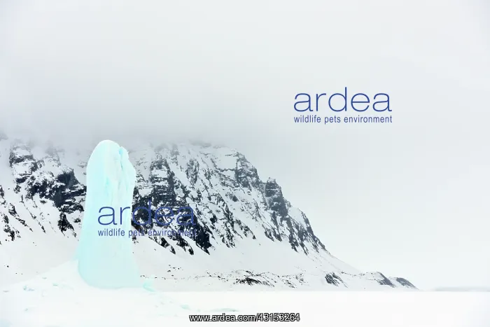 : Blue ice pillars in front of coast : Blue ice pillars in front of coast