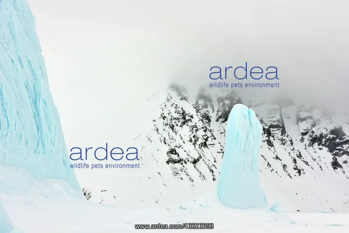 : Blue ice pillars in front of coast : Blue ice pillars in front of coast