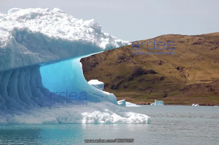 : The blue ice of Qooroq Icefjord, Narsarsuaq : The blue ice of Qooroq Icefjord, Narsarsuaq