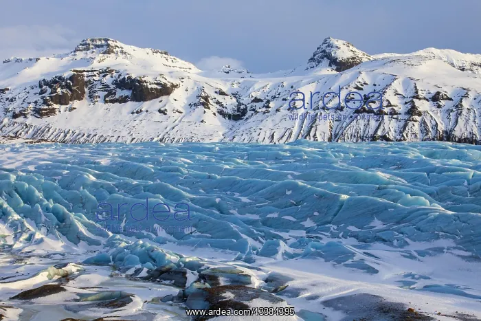 : Blue ice on Svinafellsjnkull, arm of the Vatnajnkull : Blue ice on Svinafellsjnkull, arm of the Vatnajnkull
