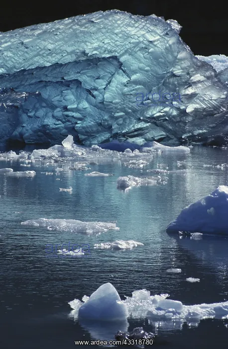 : Blue Iceberg : Blue Iceberg