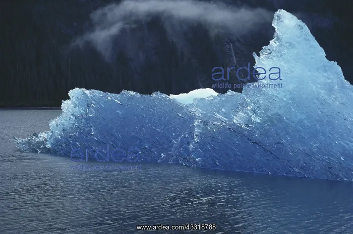 : Blue Iceberg : Blue Iceberg