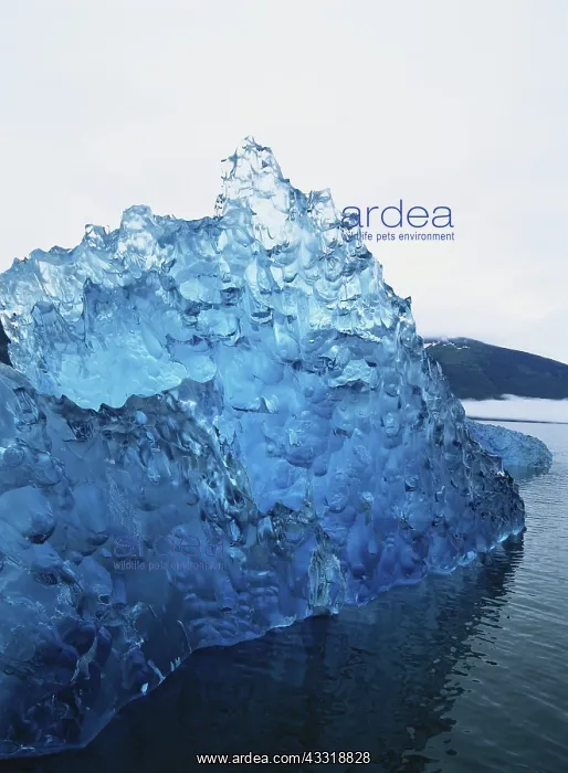 : Blue Iceberg : Blue Iceberg