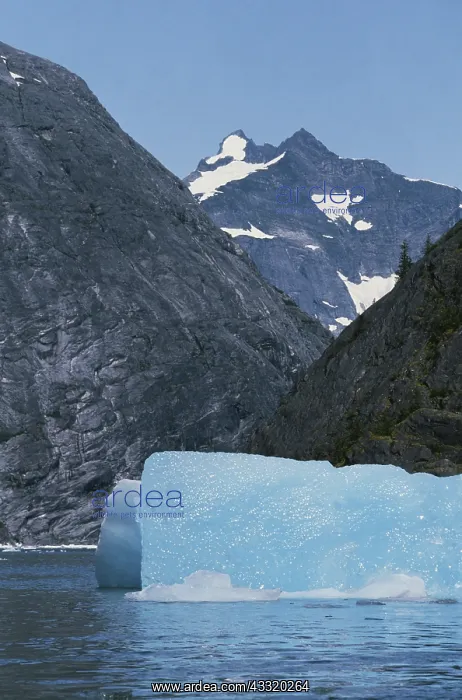 : Blue Iceberg, Alaska : Blue Iceberg, Alaska