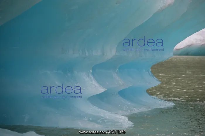 : Blue iceberg glows in Shakes Lake : Blue iceberg glows in Shakes Lake