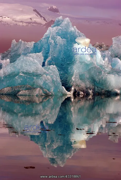 : Blue iceberg reflected in the water, mountains rising : Blue iceberg reflected in the water, mountains rising