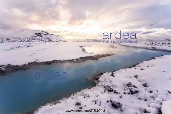 : Blue Lagoon, Close to Reykjavik : Blue Lagoon, Close to Reykjavik
