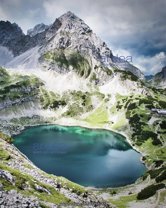 : Blue lake with mountains, Drachensee near Ehrwald : Blue lake with mountains, Drachensee near Ehrwald
