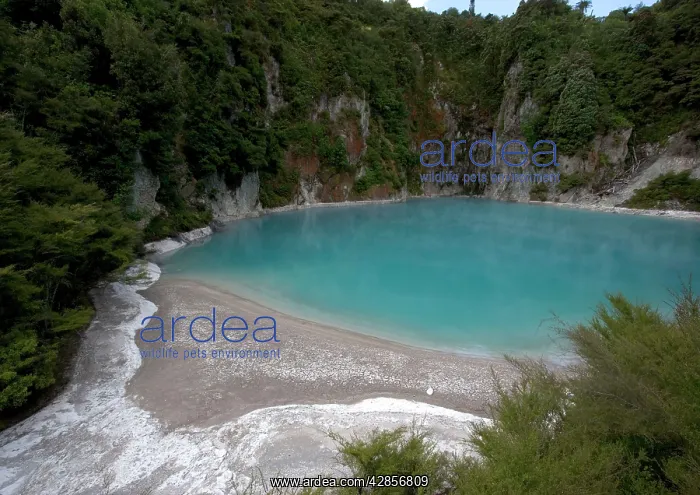 : Blue lake, Waimangu valley. Geothermal activity : Blue lake, Waimangu valley. Geothermal activity