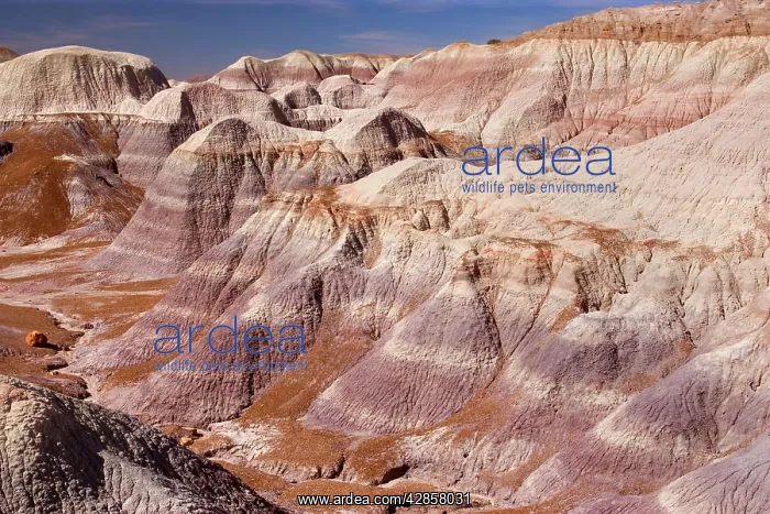 : Blue Mesa Badlands - eroded clay formations called Badlands : Blue Mesa Badlands - eroded clay formations called Badlands