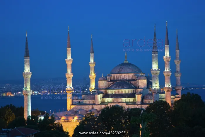 : Blue Mosque at Dusk with Bosphorus Sea as : Blue Mosque at Dusk with Bosphorus Sea as