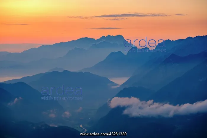 : Blue mountain silhouettes at sunrise, view over : Blue mountain silhouettes at sunrise, view over