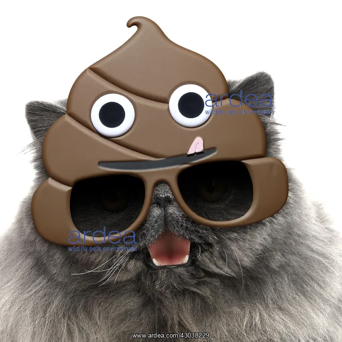 : Blue Persian Cat mouth open wearing poo emoji sun-glasses : Blue Persian Cat mouth open wearing poo emoji sun-glasses