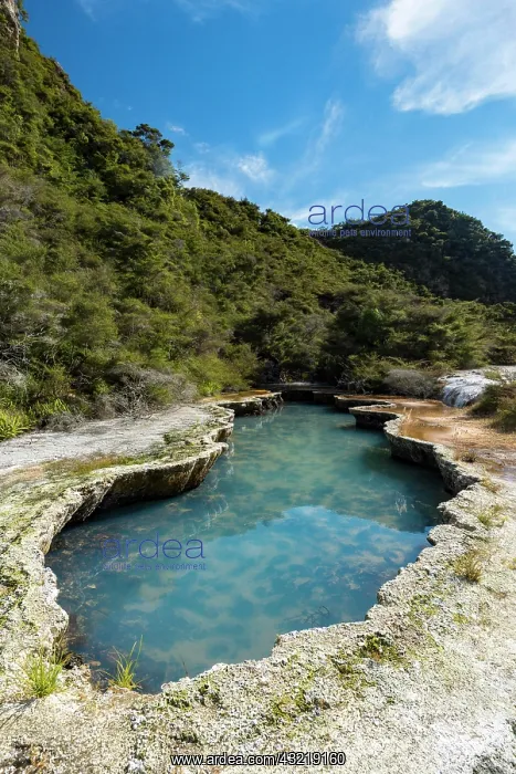 : Blue Pool, geothermal source, Waimangu Volcanic : Blue Pool, geothermal source, Waimangu Volcanic