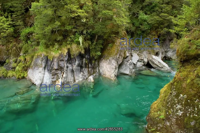 : Blue Pools - famous pools of amazingly clear river : Blue Pools - famous pools of amazingly clear river