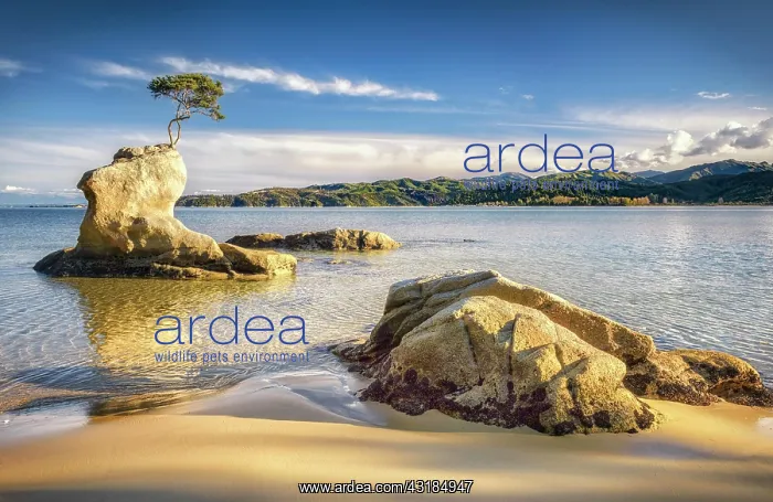 : Blue sea with yellow rock shapes, and single tree : Blue sea with yellow rock shapes, and single tree