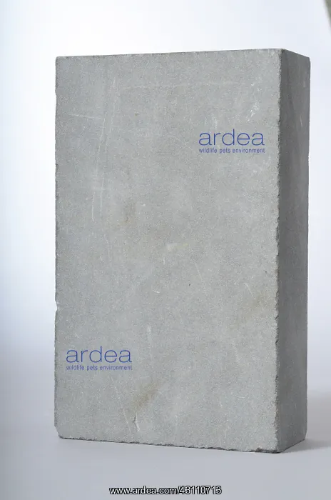: Blue Stone : Blue Stone