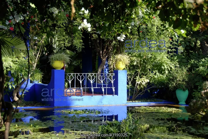  : Blue terrace at pond hidden in green plants in the