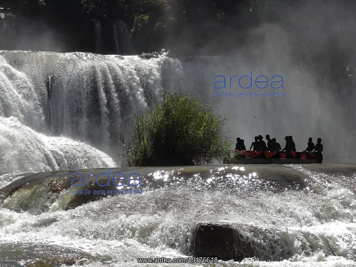 : The Blue-water Falls in the mexicat state of Chiapas : The Blue-water Falls in the mexicat state of Chiapas