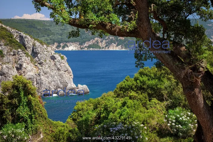 : Blue waters off the coast of the Ionian : Blue waters off the coast of the Ionian
