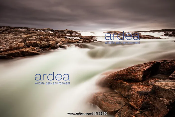  : Blurred image of rushing waterfall near Bury Cove