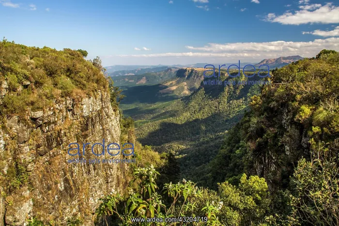 : Blyde River Canyon, one of the most beautiful panoramas : Blyde River Canyon, one of the most beautiful panoramas