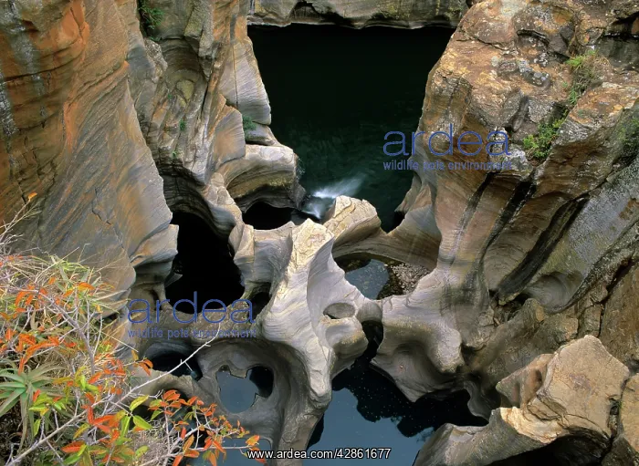 : Blyde River Canyon - potholes and rock washings : Blyde River Canyon - potholes and rock washings