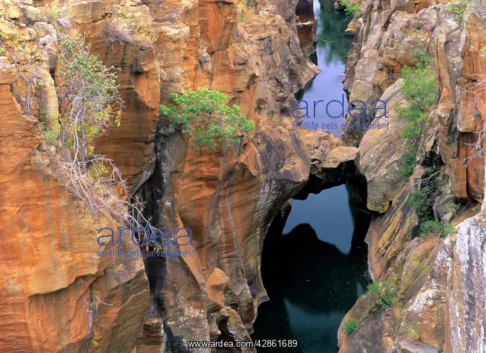 : Blyde River canyon - rock formations and stone bridge : Blyde River canyon - rock formations and stone bridge