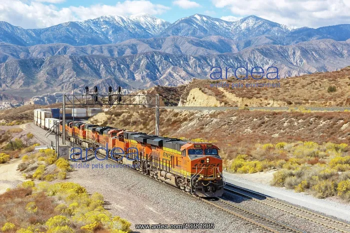 : BNSF Railway goods train at Cajon Pass near Los : BNSF Railway goods train at Cajon Pass near Los