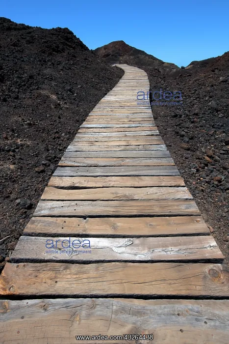 : Boarded footpath through black lava field, Punta : Boarded footpath through black lava field, Punta